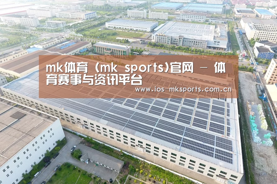 案例展示一