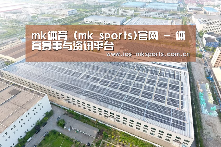 案例展示三