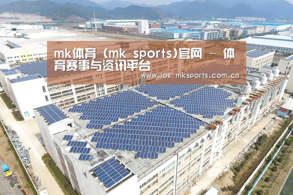 案例展示四