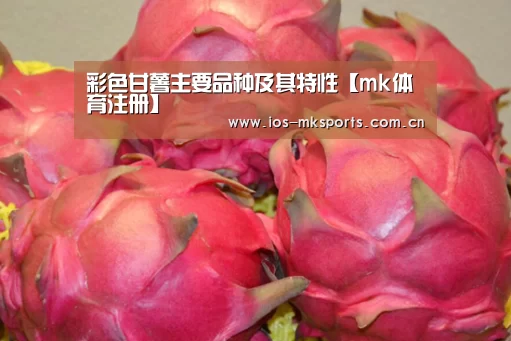 彩色甘薯主要品种及其特性【mk体育注册】(图3) mk体育中国官网