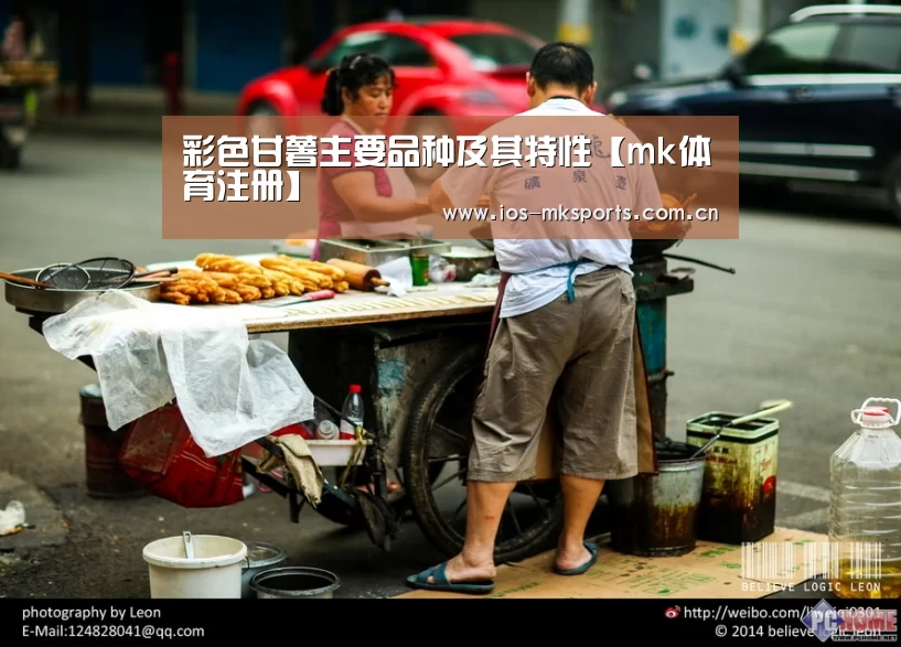彩色甘薯主要品种及其特性【mk体育注册】(图2) mk体育中国官网