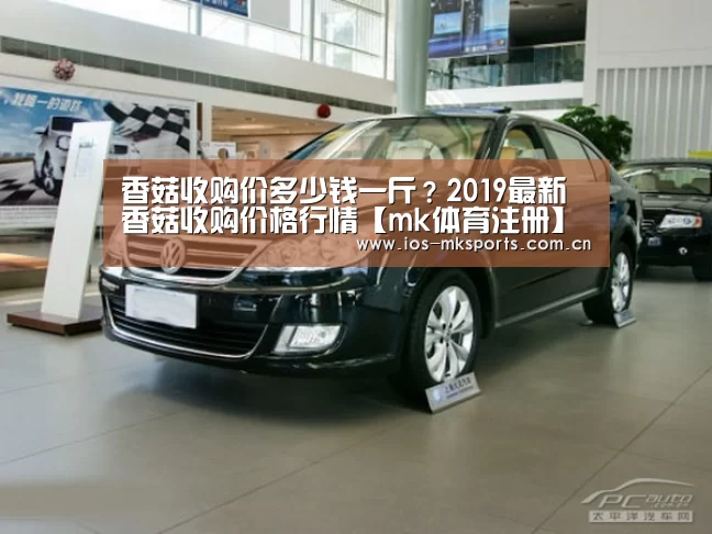 mk体育中国官网