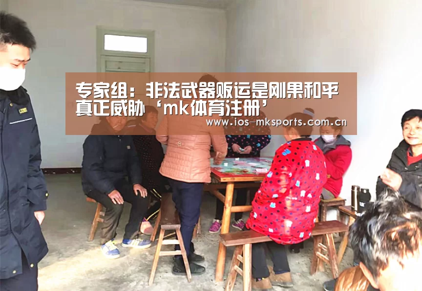 专家组:非法武器贩运是刚果和平真正威胁‘mk体育注册’(图3) mk体育注册