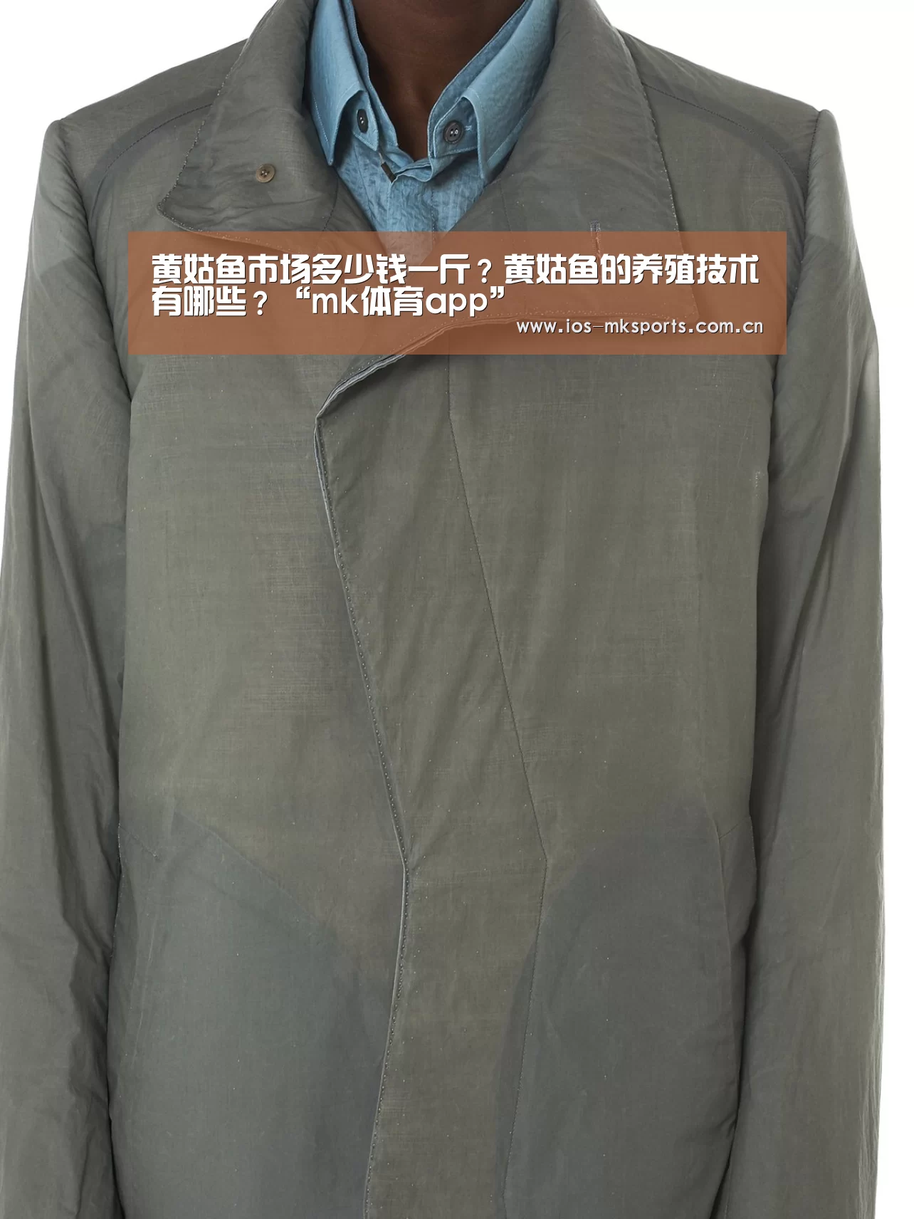黄姑鱼市场多少钱一斤?黄姑鱼的养殖技术有