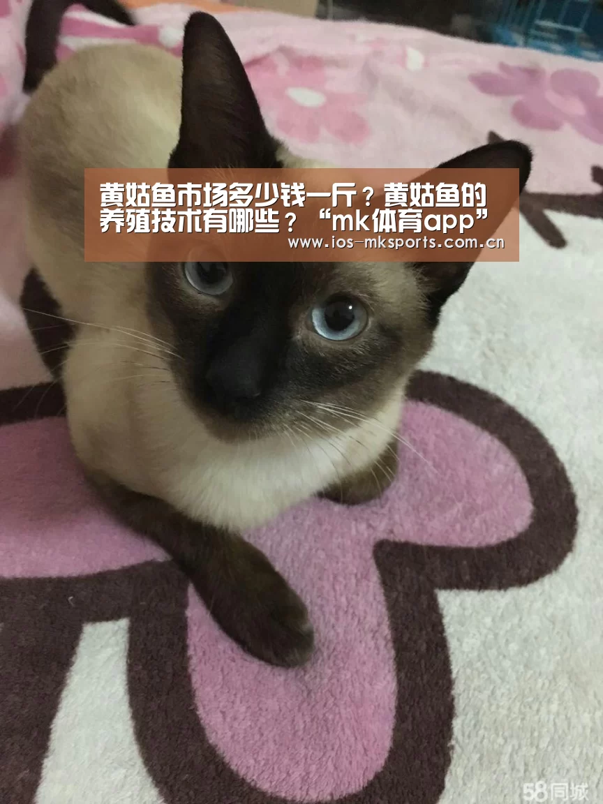 黄姑鱼市场多少钱一斤?黄姑鱼的养殖技术有哪些?“mk体育app”(图2) mk体育下载