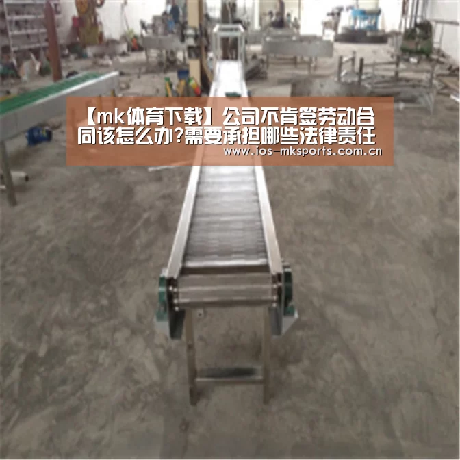 【mk体育下载】公司不肯签劳动合同该怎么办?需要承担哪些法律责任?(图4) mk体育注册