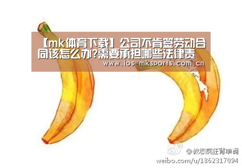 【mk体育下载】公司不肯签劳动合同该怎么办?需要承担哪些法律责任?(图1) mk体育下载